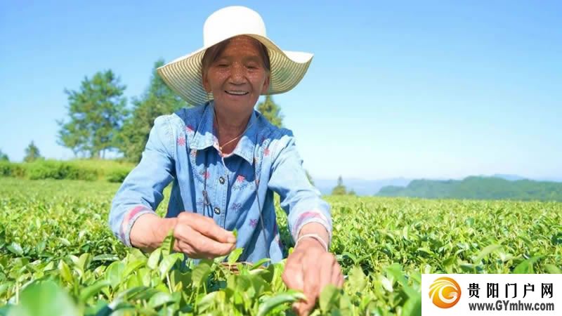 东西协作|沿河:“山”呼“海”应赴新程(图11) 东西协作|沿河:“山”呼“海”应赴新程(图11)