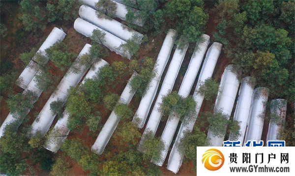 游新建代表：努力把织金打造成“富矿精开”示范县(图3)