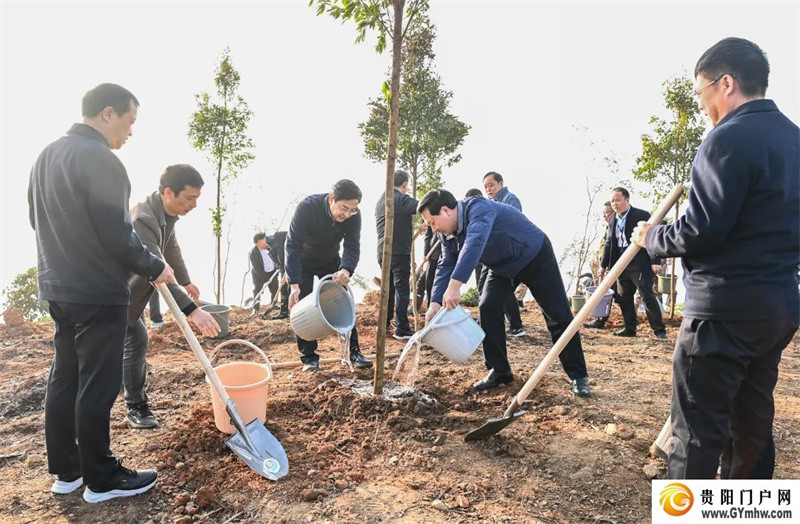 铜仁市2024年义务植树活动举行(图1) 铜仁市2024年义务植树活动举行(图1)