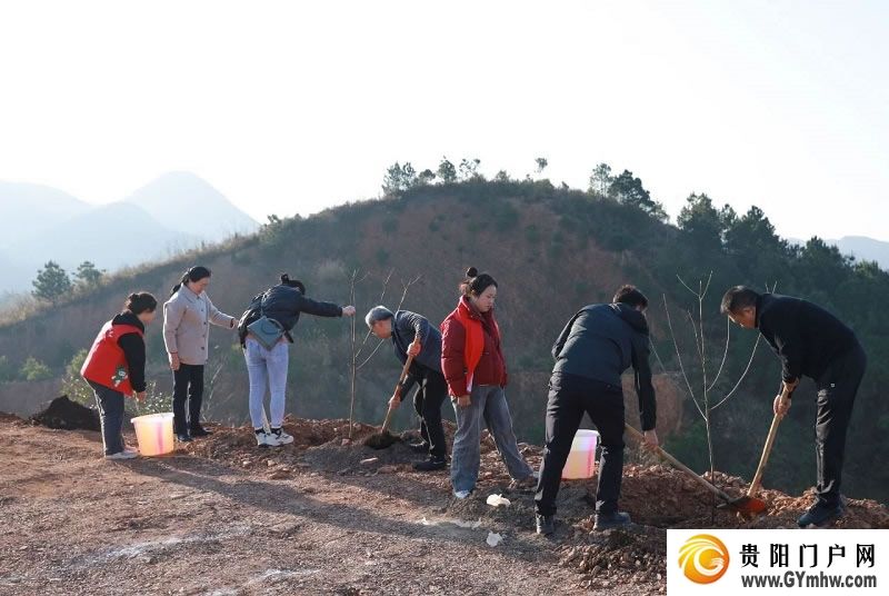 “植”此青绿 不负青山 贵州各地开展义务植树活动(图8) “植”此青绿 不负青山 贵州各地开展义务植树活动(图8)