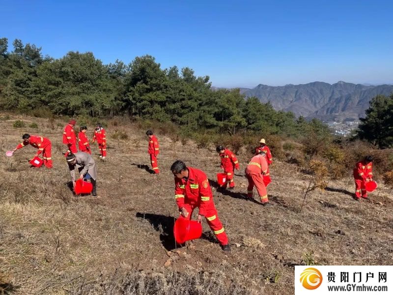 “植”此青绿 不负青山 贵州各地开展义务植树活动(图3) “植”此青绿 不负青山 贵州各地开展义务植树活动(图3)
