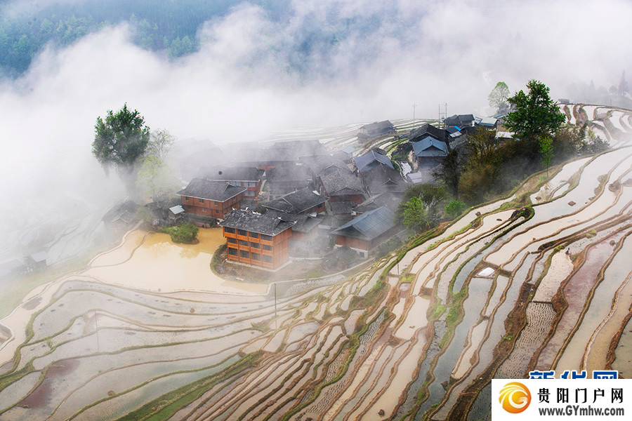 贵州从江:雾漫梯田(图2) 贵州从江:雾漫梯田(图2)