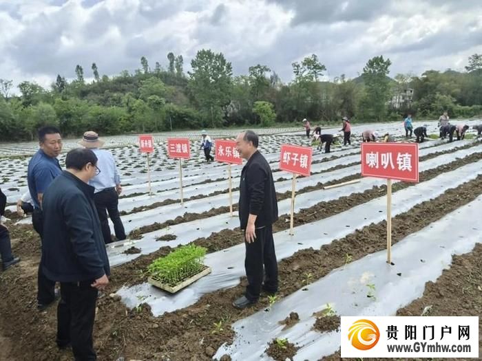 遵义新蒲：打造乡村产业新“椒”点(图2)