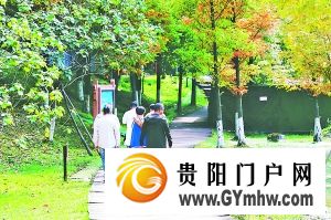 贵阳高新区:以绿为底 凝聚高质量发展“向心力”(图2) 贵阳高新区:以绿为底 凝聚高质量发展“向心力”(图2)