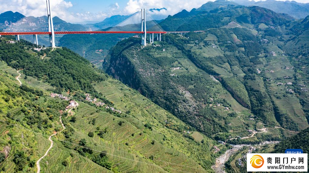 新时代中国调研行之看区域·西部篇丨贵州:西部天堑变通途(图15) 新时代中国调研行之看区域·西部篇丨贵州:西部天堑变通途(图15)