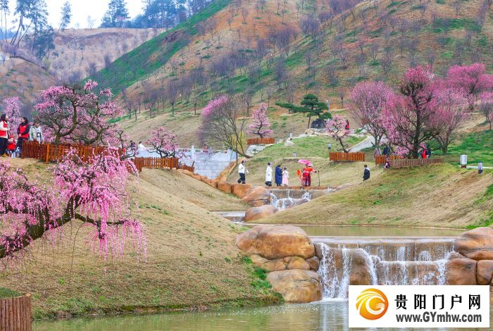 本周六开园！贵州梅园游玩攻略(图5)