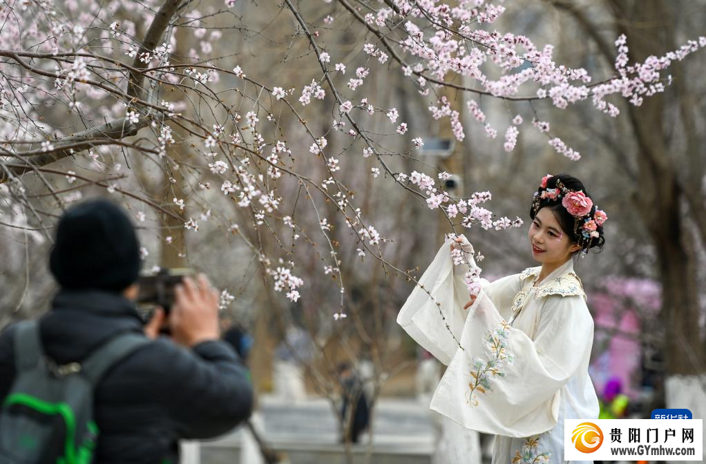 从“剧效应”到“花经济” 春日文旅消费市场活力满满(图6) 从“剧效应”到“花经济” 春日文旅消费市场活力满满(图6)