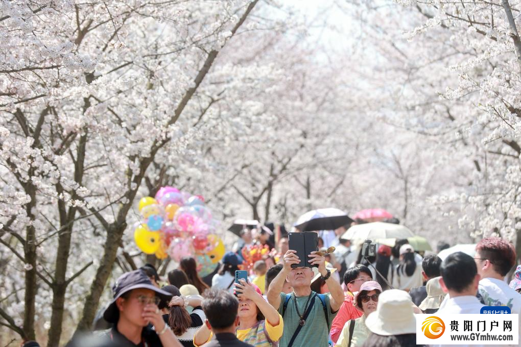 从“剧效应”到“花经济” 春日文旅消费市场活力满满(图8) 从“剧效应”到“花经济” 春日文旅消费市场活力满满(图8)