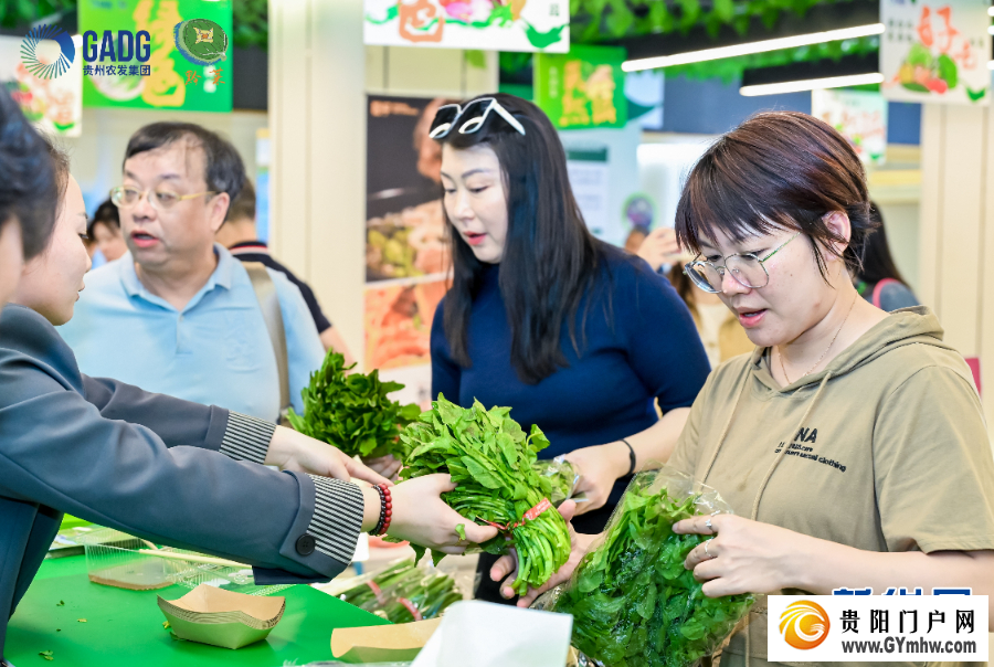 “黔菜广进” 山海共烹一桌鲜(图5) “黔菜广进” 山海共烹一桌鲜(图5)