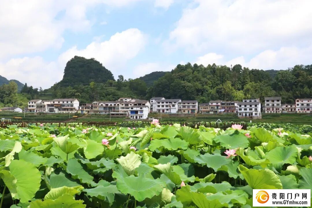 浓墨重彩写华章 奋楫争先势正扬——普定县“十四五”时期高质量发展综述(图6)